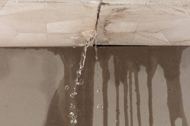 Professional Water Extraction technician working in Haywood, VA